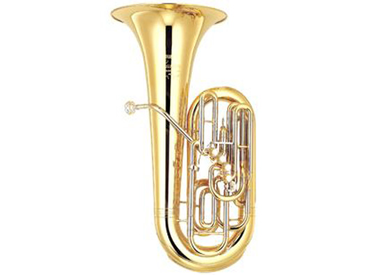 樂器大號(hào)培訓(xùn)