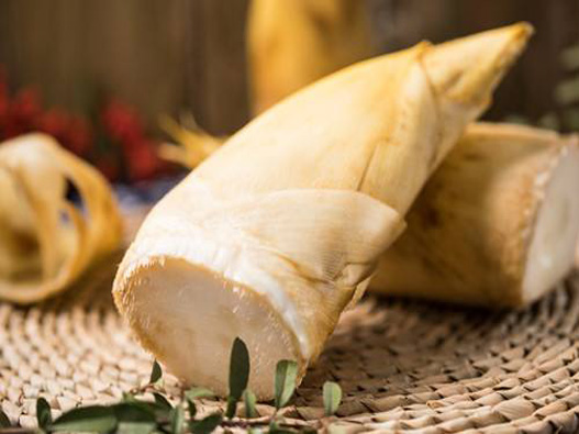 冬筍商標注冊哪一類?