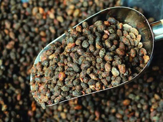 豆豉商標(biāo)注冊(cè)哪一類?