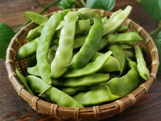 刀豆商標(biāo)注冊哪一類?