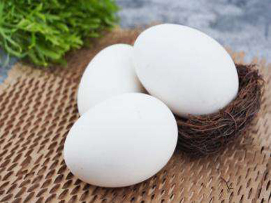 鵝蛋商標注冊屬于哪一類?