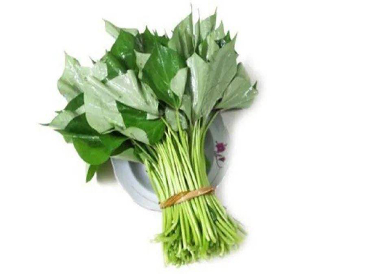 番薯葉商標(biāo)注冊哪一類?