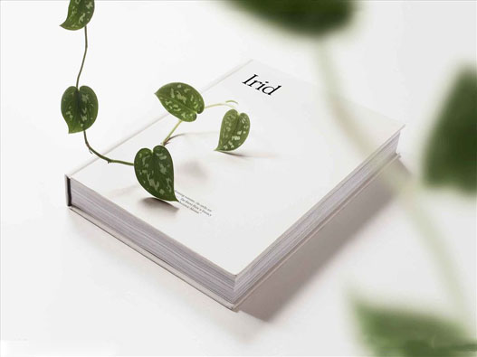 封面設計培訓商標注冊哪一類?