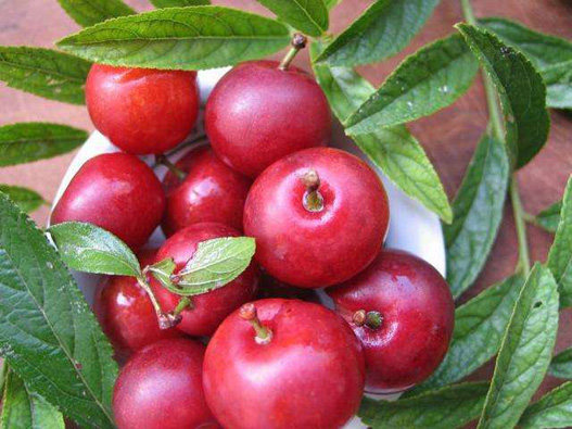 鈣果商標(biāo)注冊(cè)哪一類?