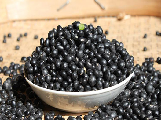 黑豆種子商標注冊哪一類?