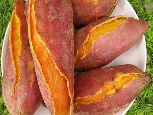 紅薯