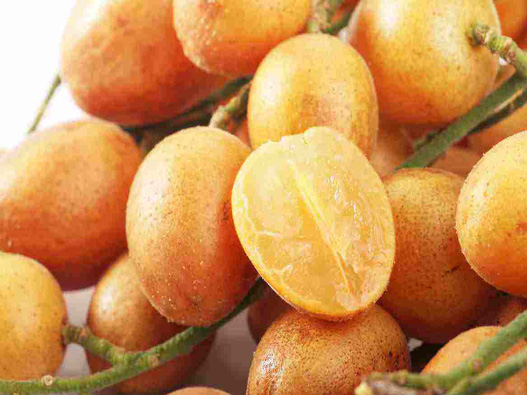 黃皮果商標(biāo)注冊的流程是什么？