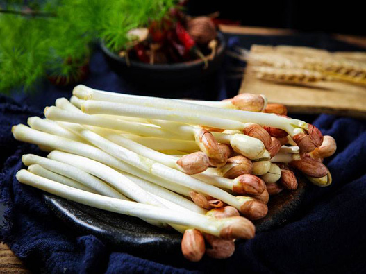 花生芽商標注冊哪一類？