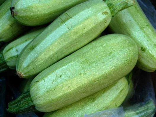 胡瓜商標注冊哪一類？