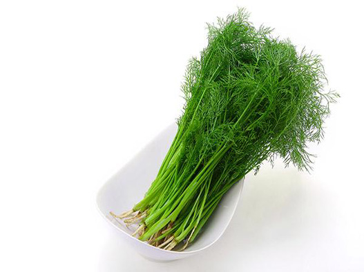 茴香菜商標注冊屬于哪一類？