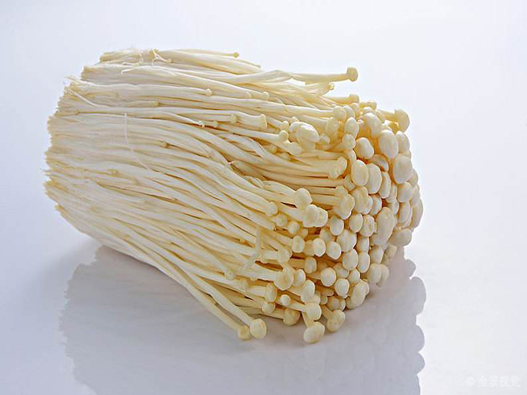 金針菇商標(biāo)注冊(cè)屬于哪一類?