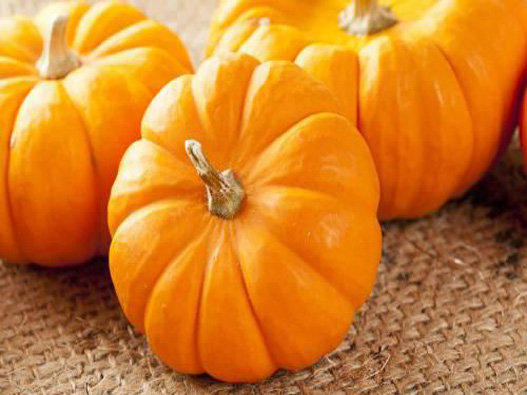 金南瓜商標(biāo)注冊哪一類?