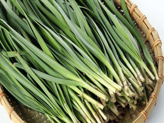 韭菜商標注冊哪一類?