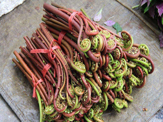 蕨菜商標(biāo)注冊哪一類?