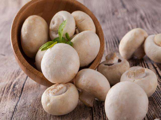 口蘑商標(biāo)注冊(cè)屬于哪一類?