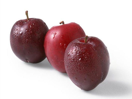 李子商標注冊要多少費用？