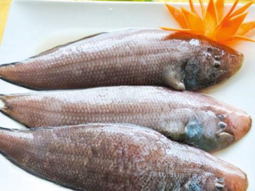 龍利魚商標(biāo)注冊(cè)屬于哪一類?