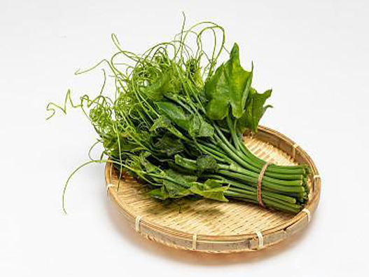 龍須菜商標(biāo)注冊哪一類?