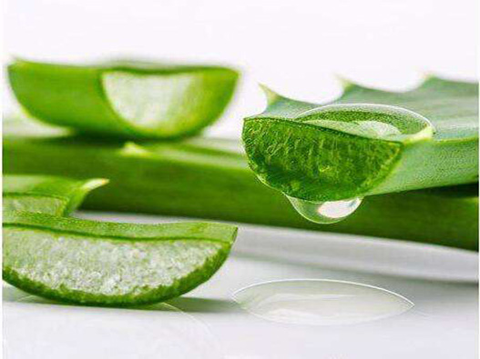 蘆薈面膜