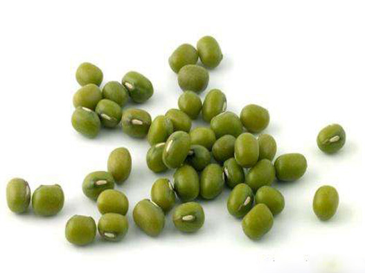 綠豆種子商標注冊哪一類?