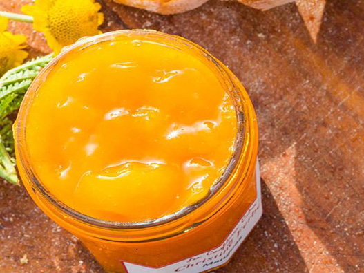 芒果果醬商標注冊哪一類？