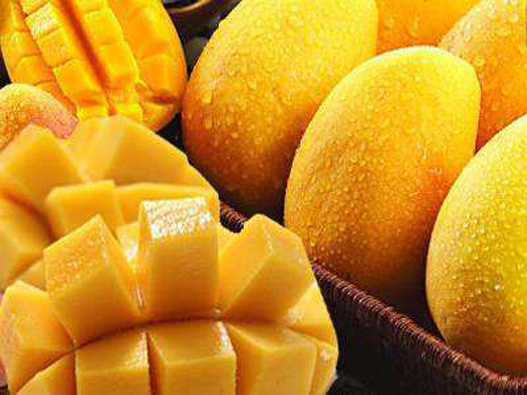 芒果商標(biāo)注冊(cè)的材料是什么?