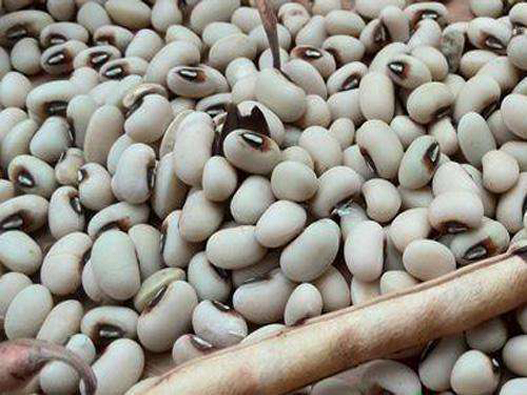 眉豆商標(biāo)注冊哪一類?