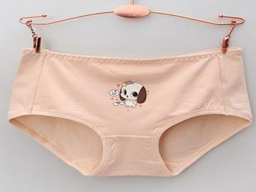 內褲商標注冊要多少費用?