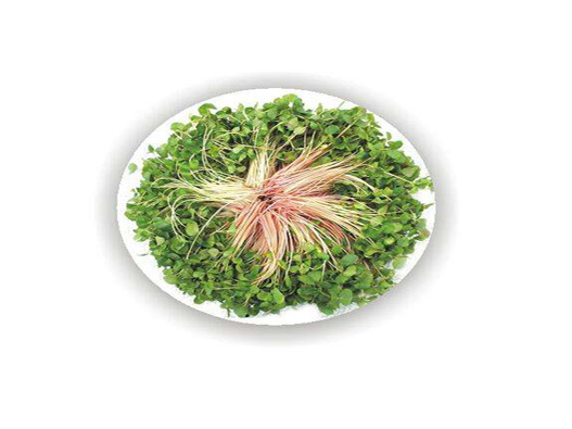 蕎麥苗商標(biāo)注冊(cè)屬于哪一類？