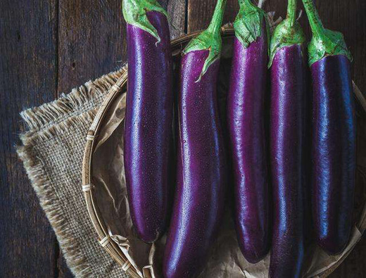 茄子商標注冊哪一類?