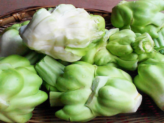 青菜頭商標(biāo)注冊哪一類？