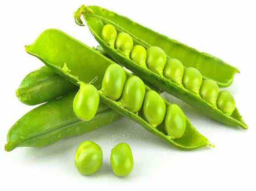 青豆商標注冊屬于哪一類?