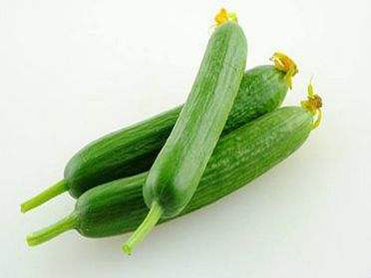 乳瓜商標(biāo)注冊屬于哪一類?