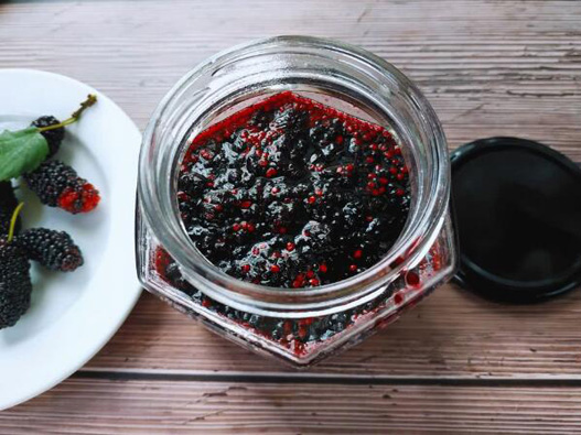 桑葚果醬商標注冊哪一類？