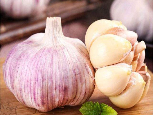 蒜商標注冊哪一類?