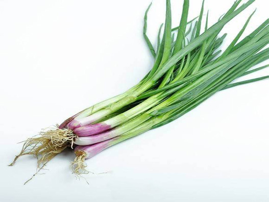 蒜苗商標(biāo)注冊哪一類？