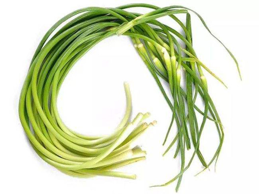 蒜苔商標注冊哪一類?