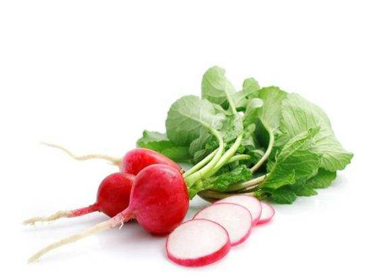 水蘿卜商標(biāo)注冊哪一類?