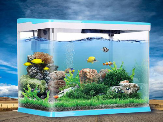 水族箱商標注冊屬于哪一類?