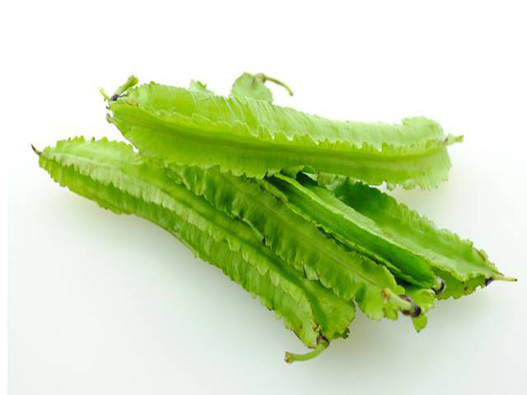 四棱豆商標(biāo)注冊哪一類?