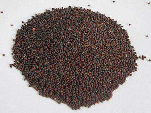 茄子苗商標注冊哪一類?