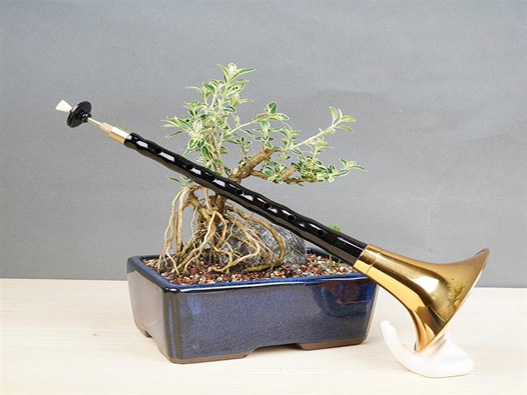 嗩吶商標注冊的材料是什么?