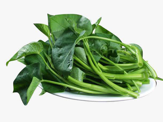 通心菜商標注冊哪一類?