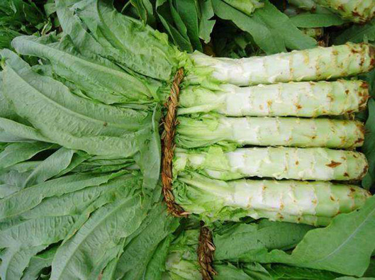 萵筍商標注冊哪一類?