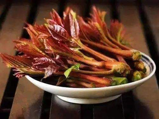 香椿商標注冊哪一類?