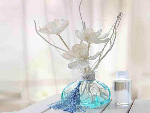 香薰藤條商標(biāo)注冊的流程有哪些？