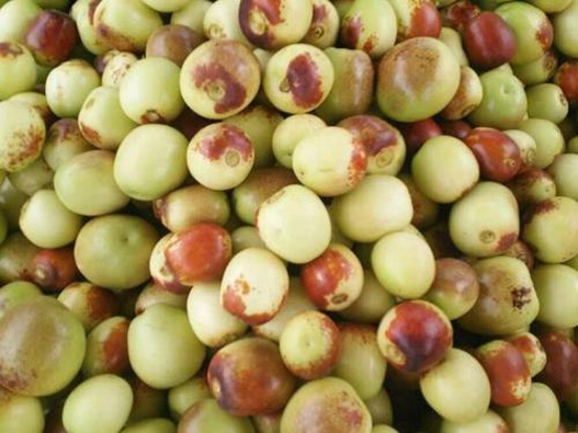 鮮棗商標(biāo)注冊的流程是什么？