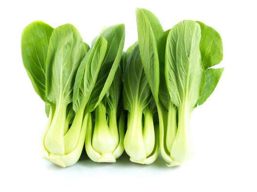 小白菜商標注冊哪一類?