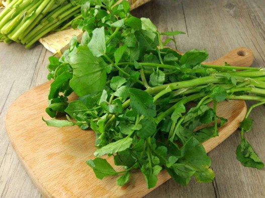 西洋菜商標注冊哪一類?