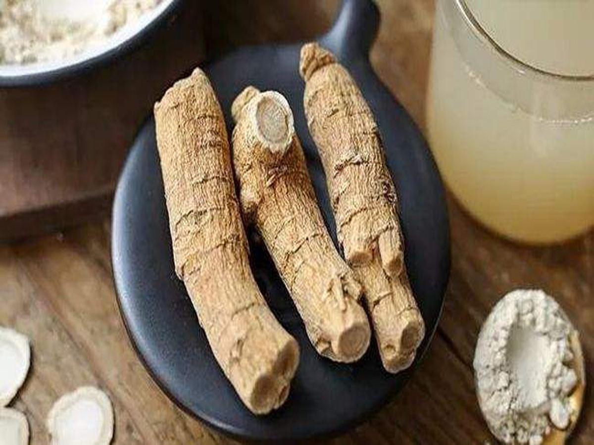 注冊西洋參商標